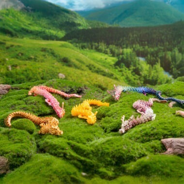Dragon Series