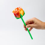 3D Printed Rose